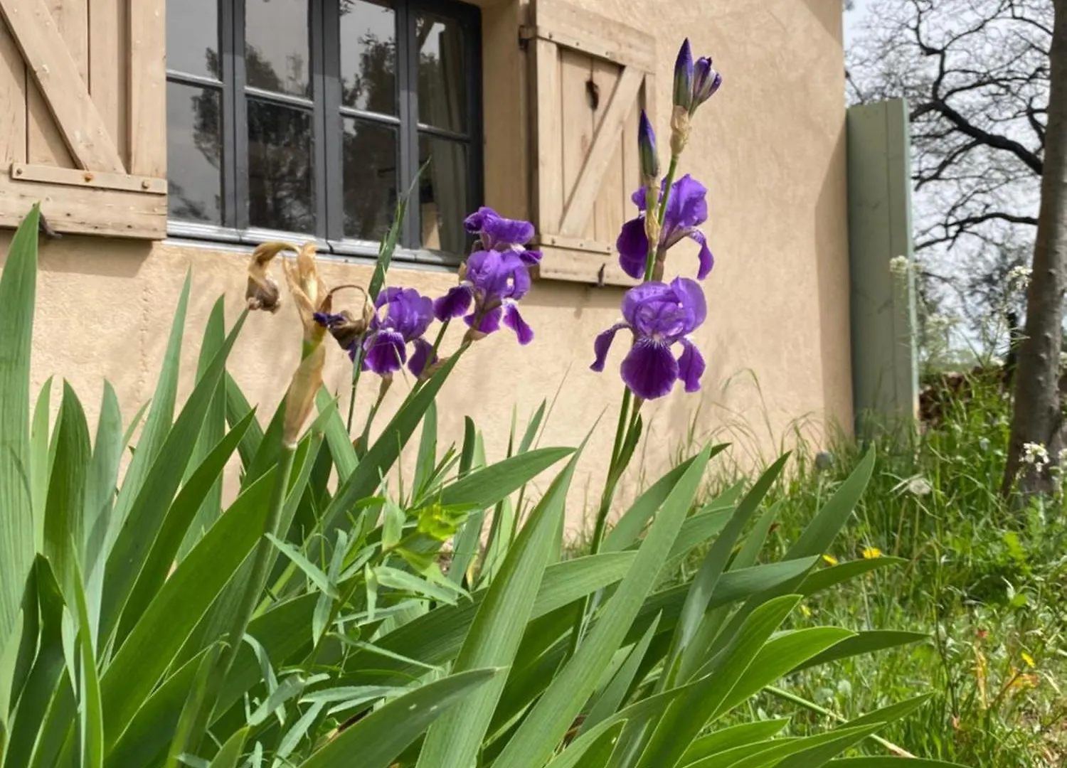 Holiday home Studio De L'Oliveraie Aix-en-Provence France